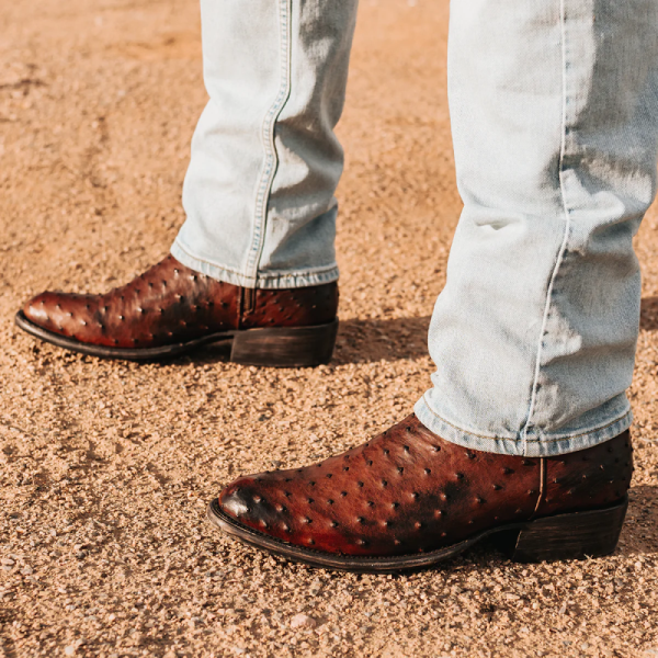 FREEBIRD | MEN'S DESPERADO-BROWN